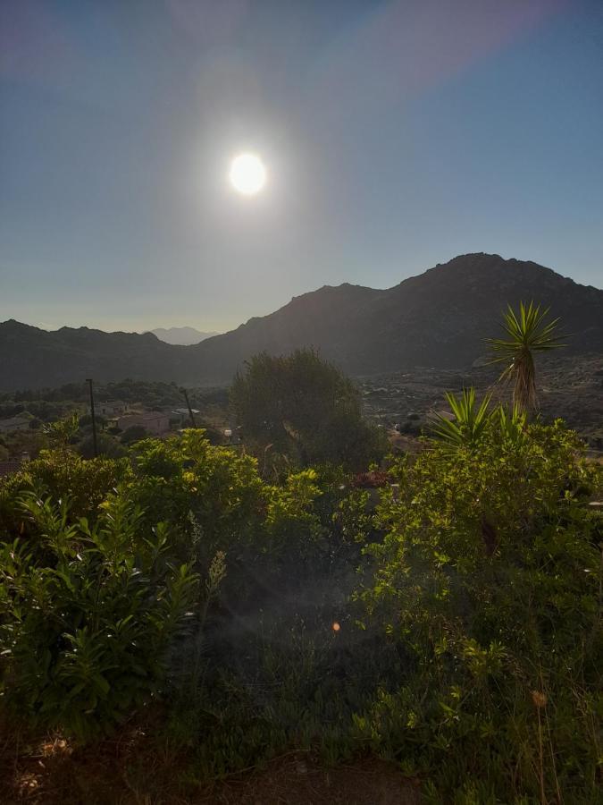 Villetta Osseddu Olbia Exteriör bild