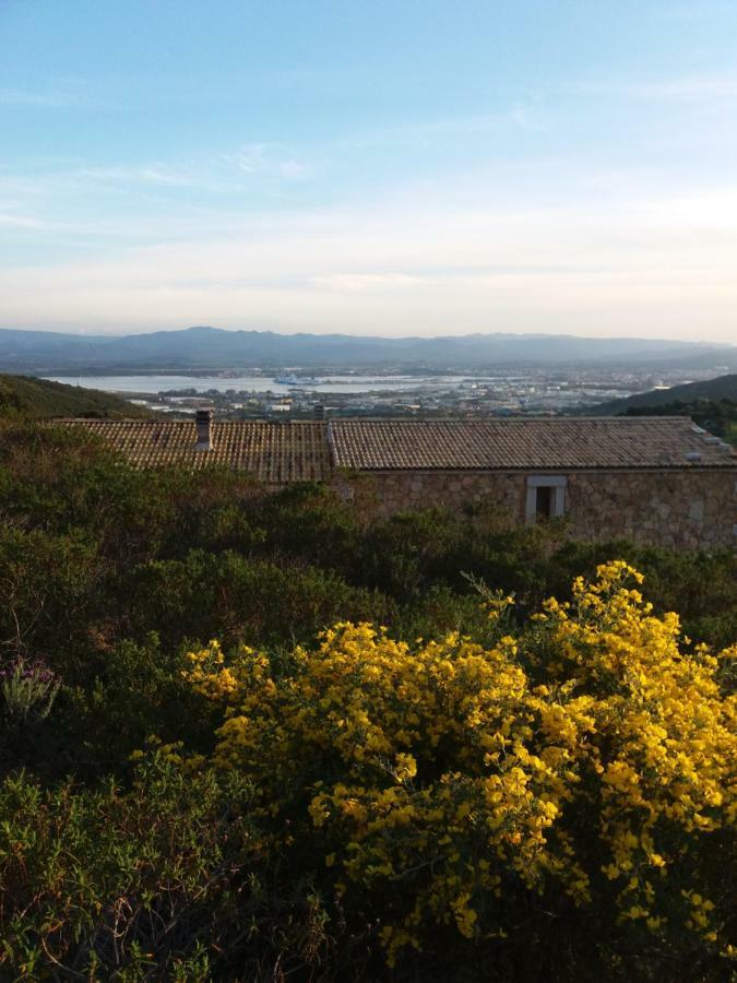 Villetta Osseddu Olbia Exteriör bild