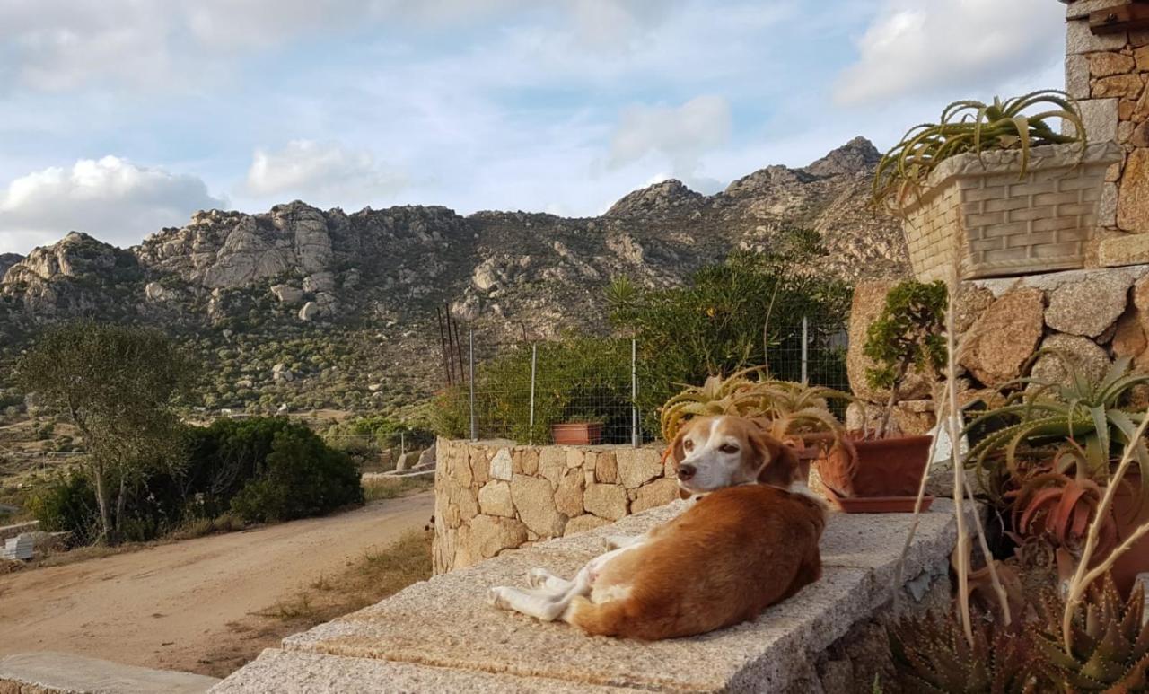 Villetta Osseddu Olbia Exteriör bild